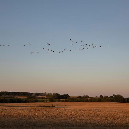 Radlerzimmer Mit Duschbad Und Minikueche In Neu Gaarz, Mitten In Der Natur Zewnętrze zdjęcie