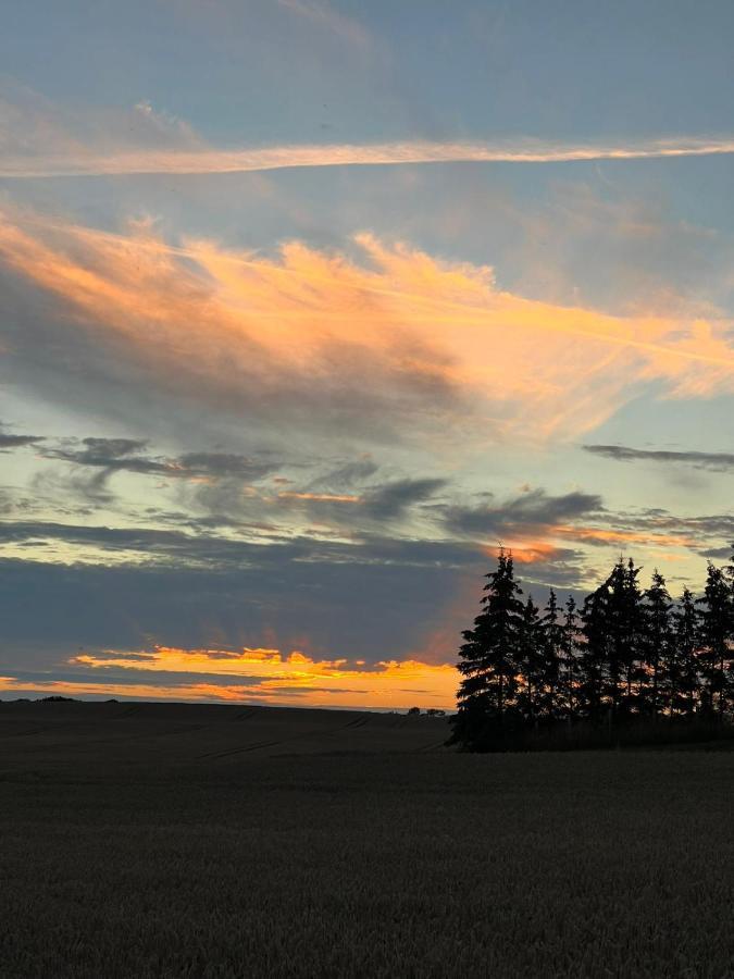 Radlerzimmer Mit Duschbad Und Minikueche In Neu Gaarz, Mitten In Der Natur Zewnętrze zdjęcie